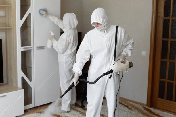Affordable Sewage Cleanup solutions in Candler, NC